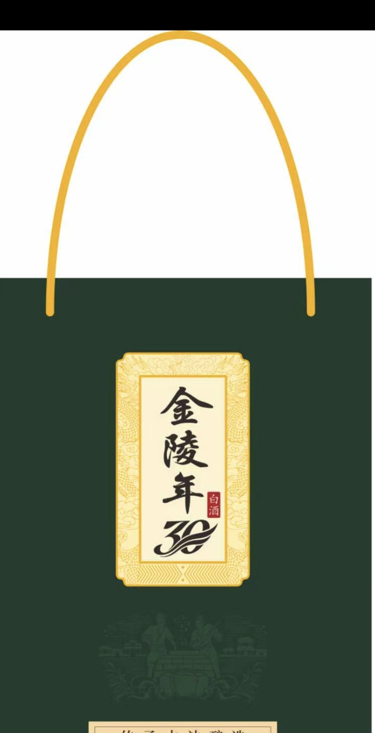 Jinling Nian 30 carry bag